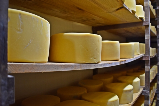 Produtores de queijo do Sul de MG adotam cautela  abertura do mercado chins para o setor